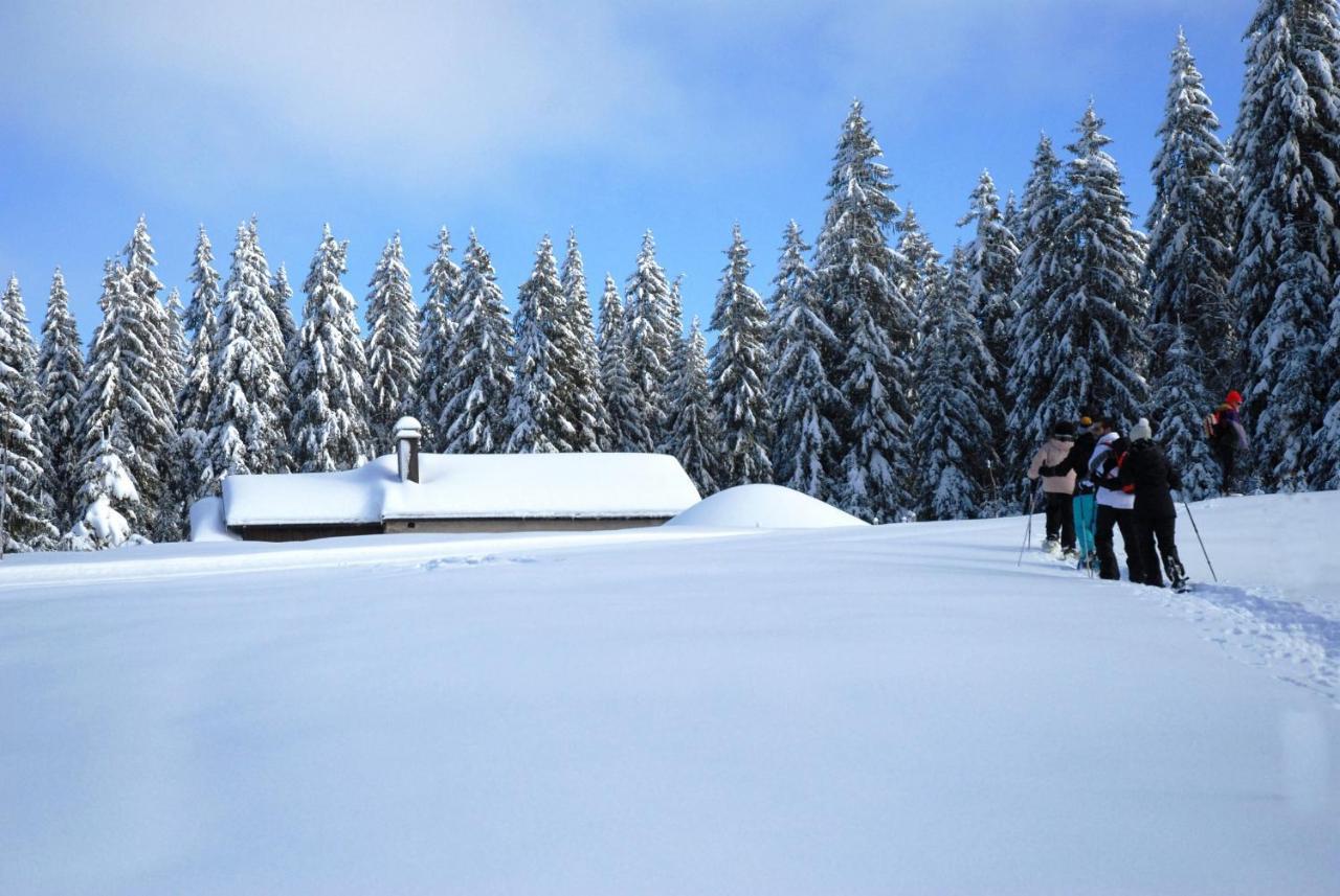 Вілла Chalet Le Petit Jura Морб'є Екстер'єр фото