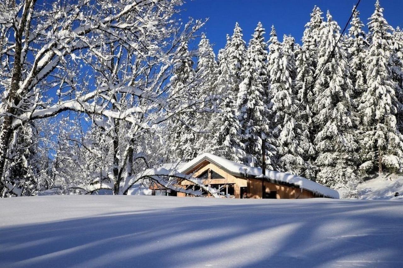 Вілла Chalet Le Petit Jura Морб'є Екстер'єр фото